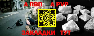 spice Кингисепп