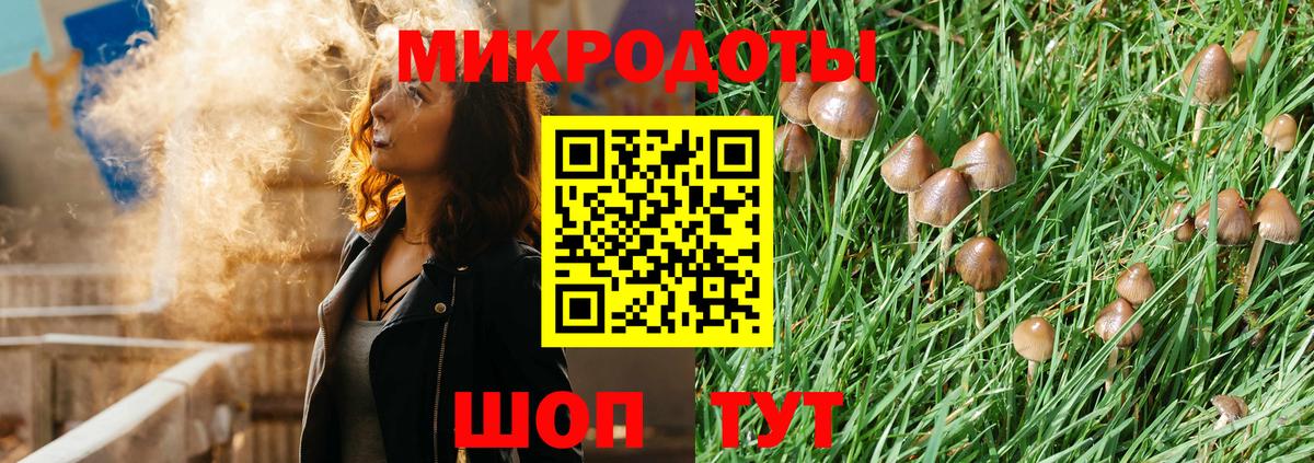 Галлюциногенные грибы ЛСД Курганинск