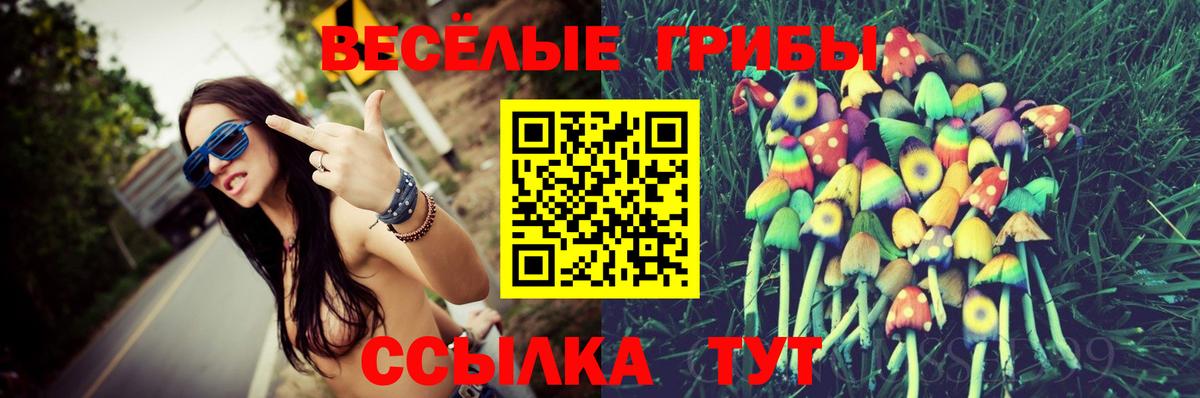 Курганинск  Галлюциногенные грибы прущие грибы  продажа наркотиков  Вход с VPN 